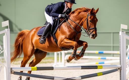 Jinete saltando obstáculo en entrenamiento ecuestre con caballo alazán